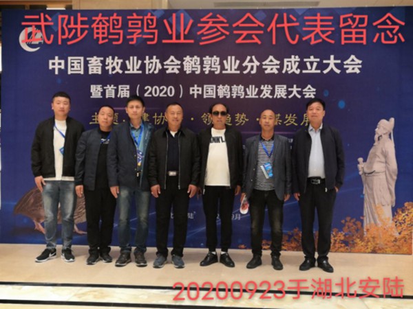 這一年，謝謝自己155